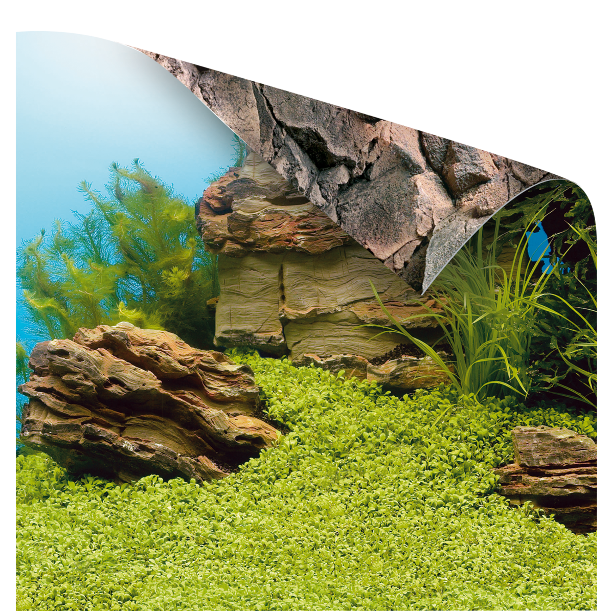 Juwel Aquarium Rückwand Folie Poster 1 - Plant / Reef - S 60x30cm Juwel Aquarium Rückwand Folie Poster 1 - Plant / Reef - S 60x30cm