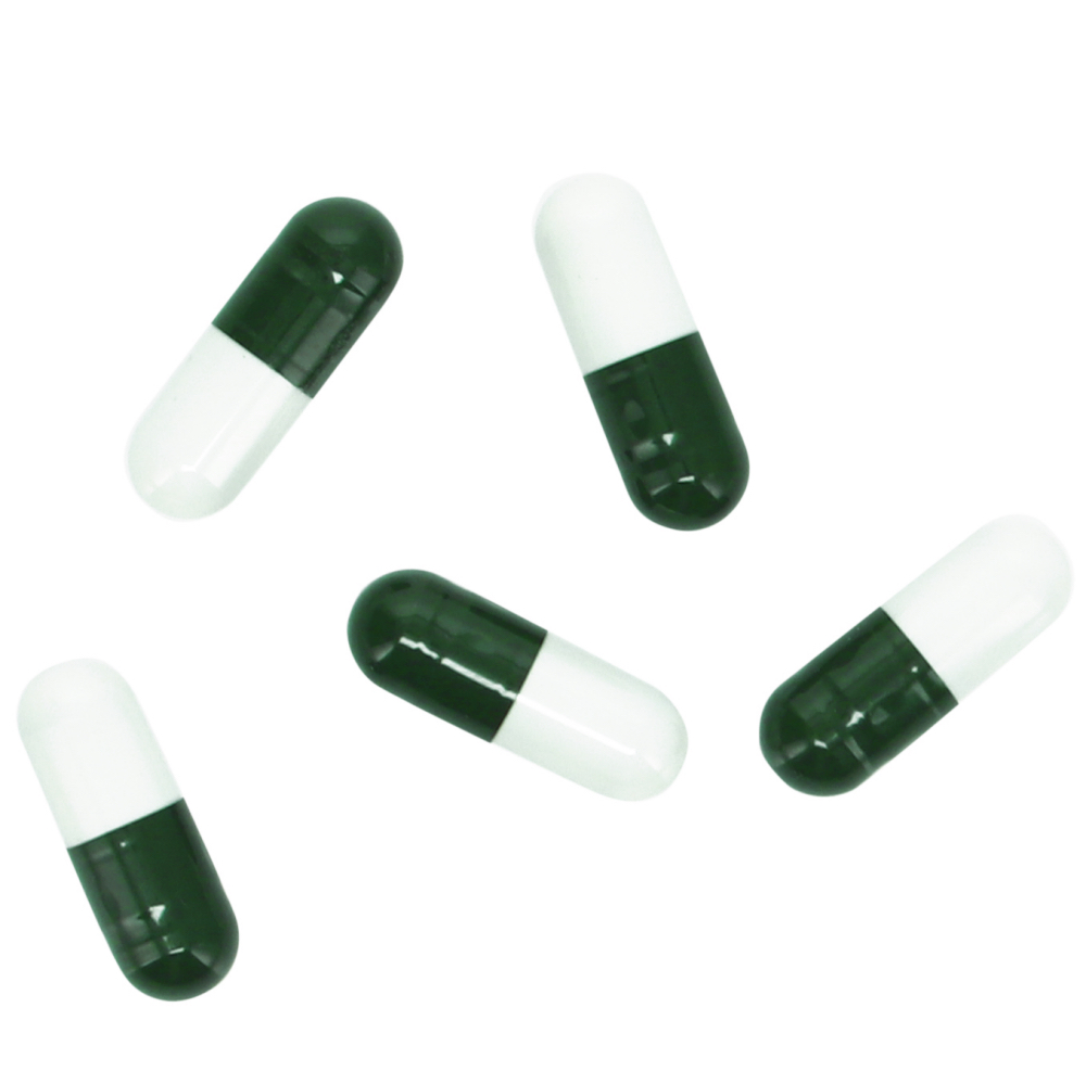 Hobby Planaria X Special Bait Planarien Köder