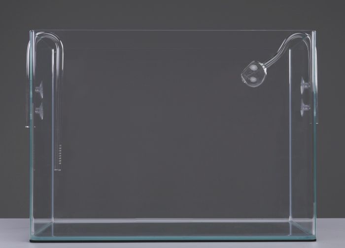 Glas Ein-/Auslass Poppy (12 mm)