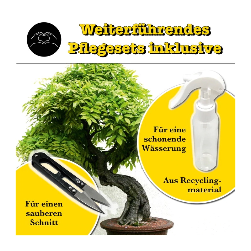 growbro Bonsai Starter Set growbro Bonsai Starter Set