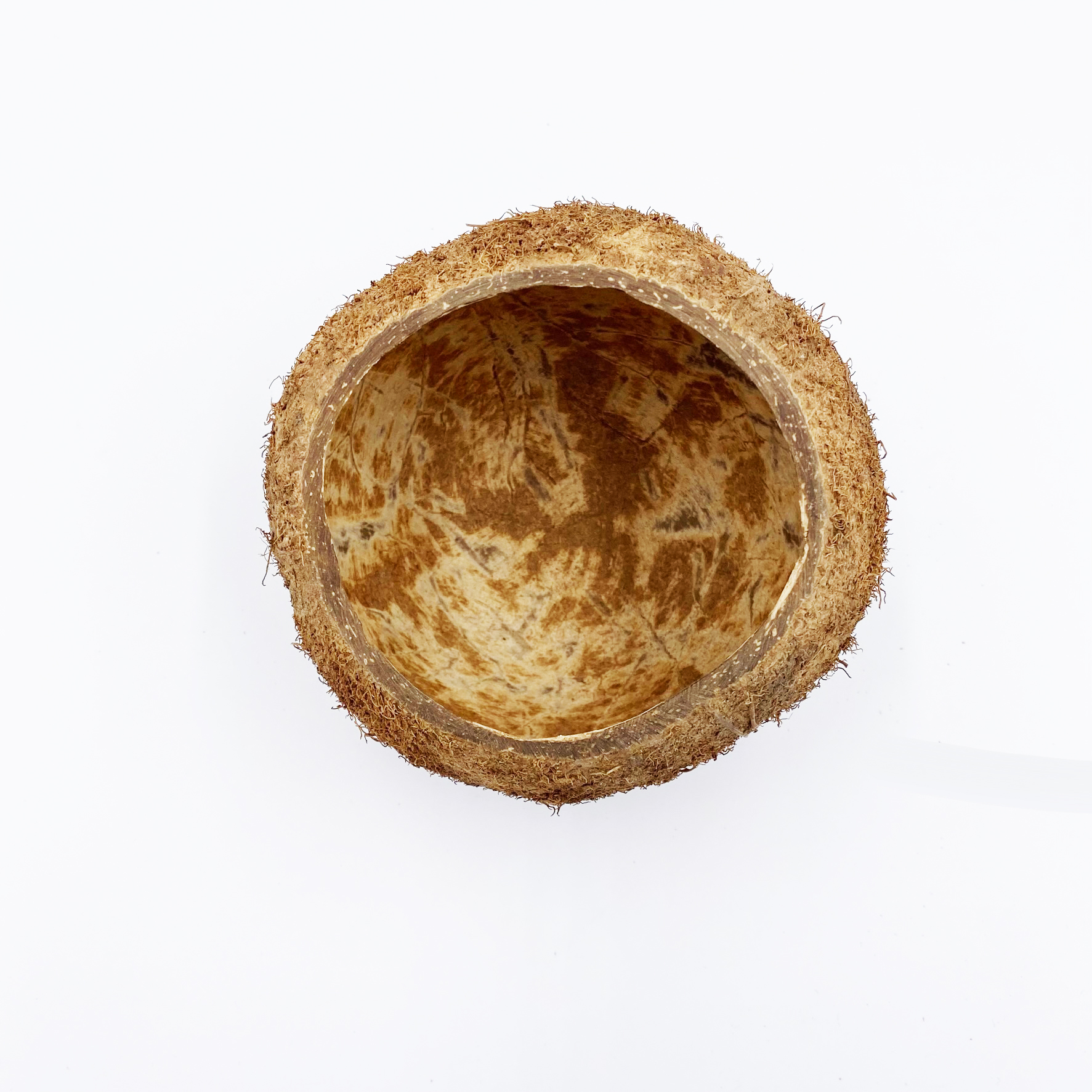 Kokosnuss Halbschale