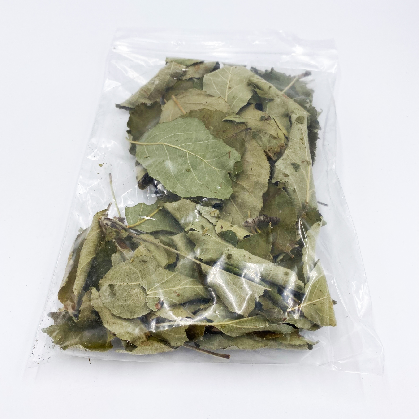 Apfelblätter 30 Stück Laub getrocknet