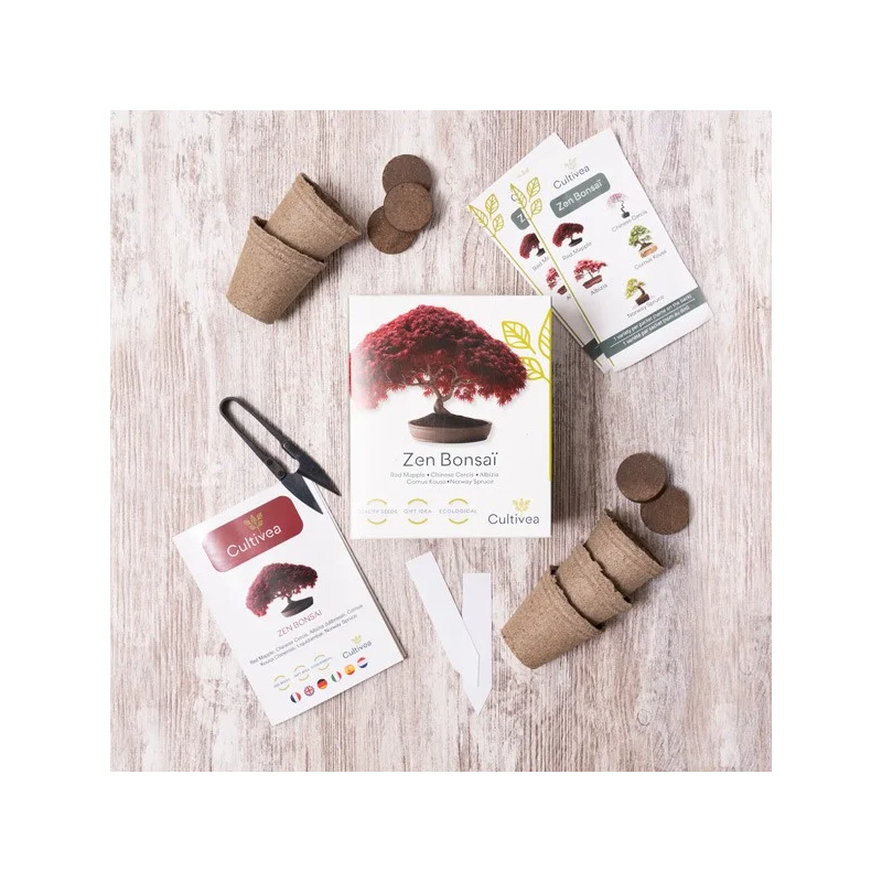 Zen Bonsai - Ready-to-Grow Kit - Bonsai Starter Set Zen Bonsai - Ready-to-Grow Kit - Bonsai Starter Set