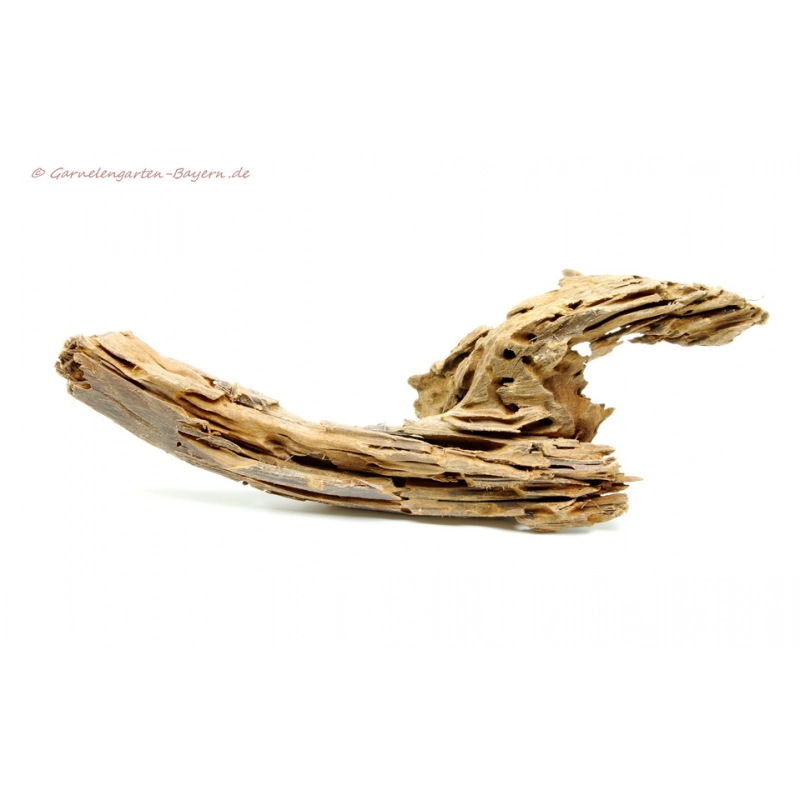 Mangroven Wurzel Medium - ca. 25-35cm