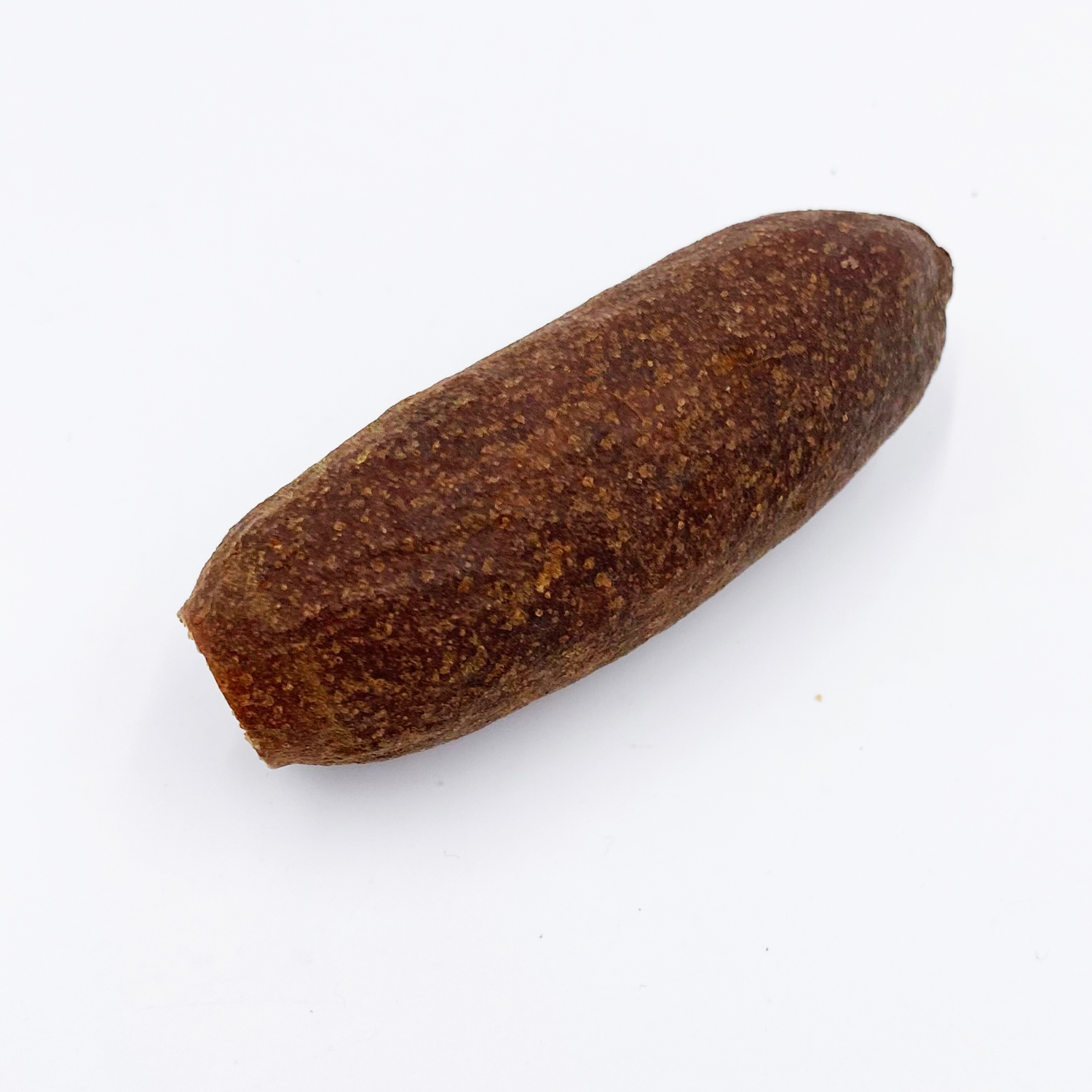 Jecetiba Kapsel - Cariniana legalis - Savuschote - Jequitiba