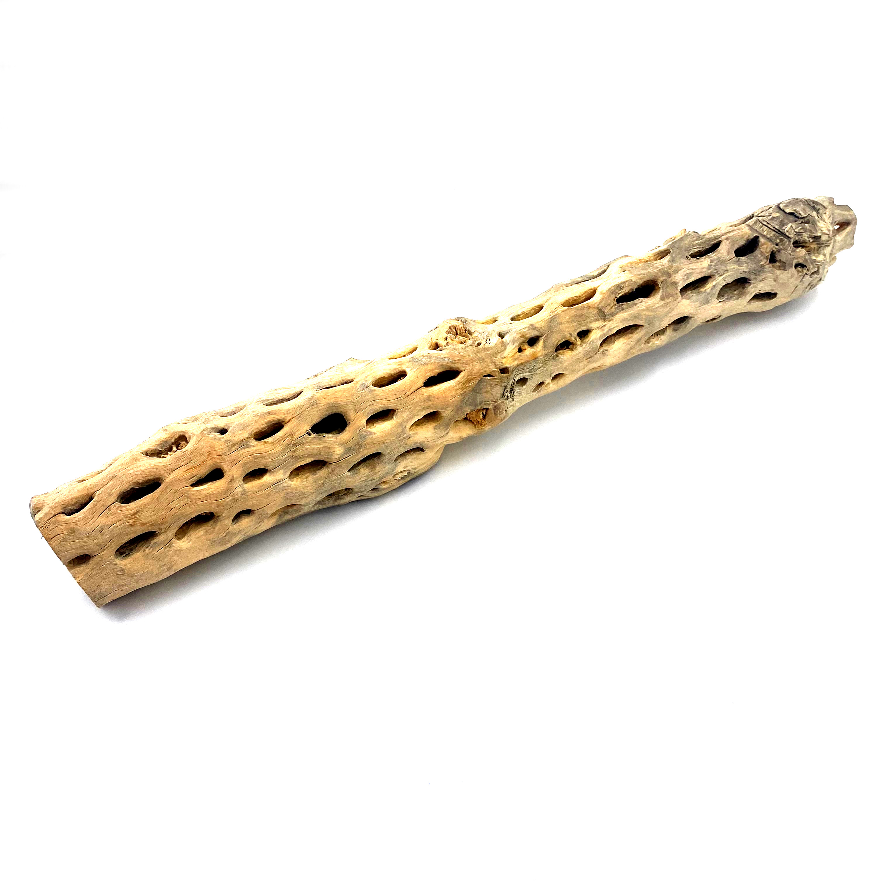 Vuka Holz - Cholla Wood - hell - 40-50 cm Vuka Holz - Cholla Wood - hell - 40-50 cm