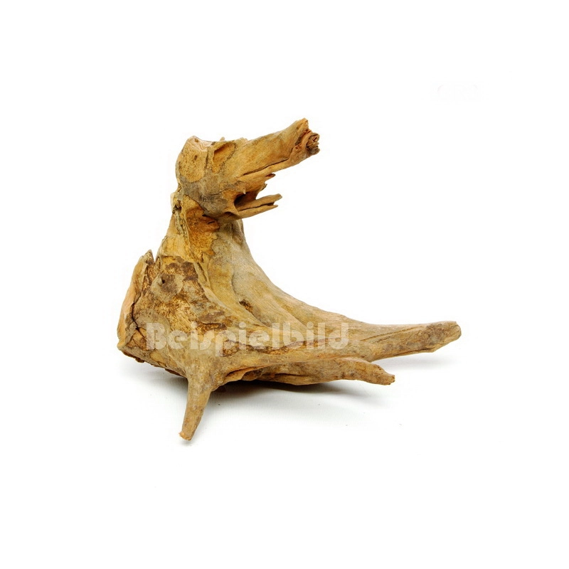 Corbo Root Small Wurzel - ca. 25cm Corbo Root Small Wurzel - ca. 25cm